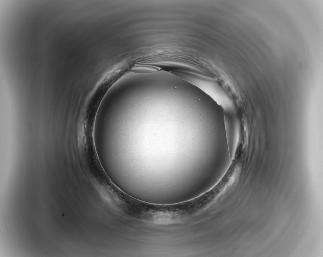 X0000087640400200705101052