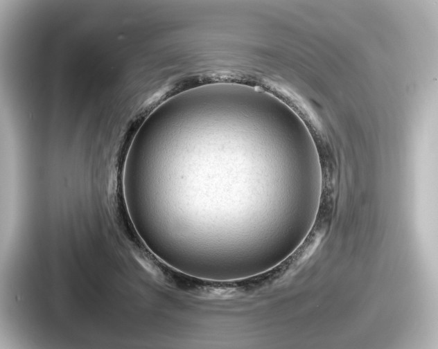 X0000087640401200705101051