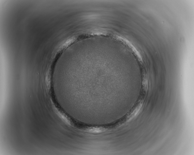 X0000087640402200705101051