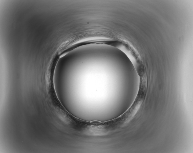 X0000087640403200705101051