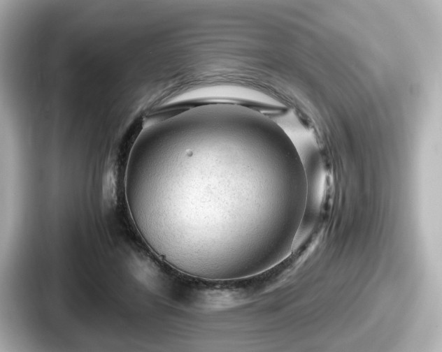 X0000087640404200705101051