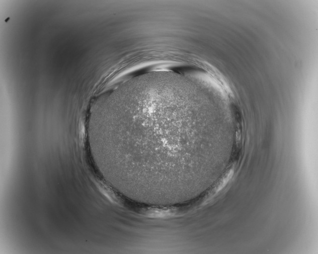 X0000087640405200705101051