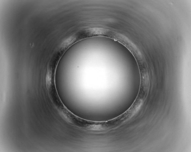 X0000087640406200705101051