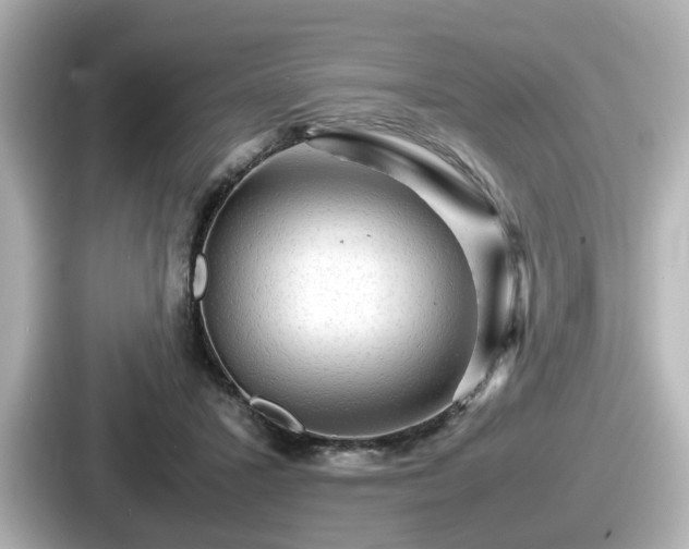 X0000087640407200705101051