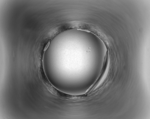 X0000087640413200705101051