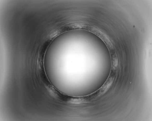 X0000087640414200705101051