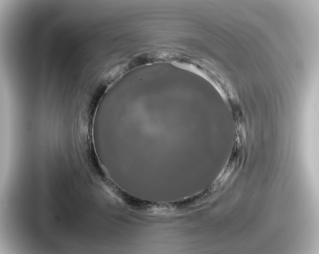 X0000087640415200705101051