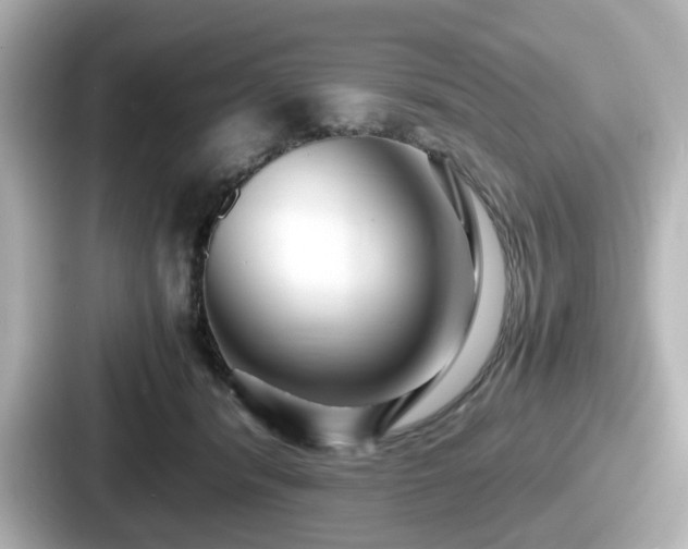 X0000087640416200705101051