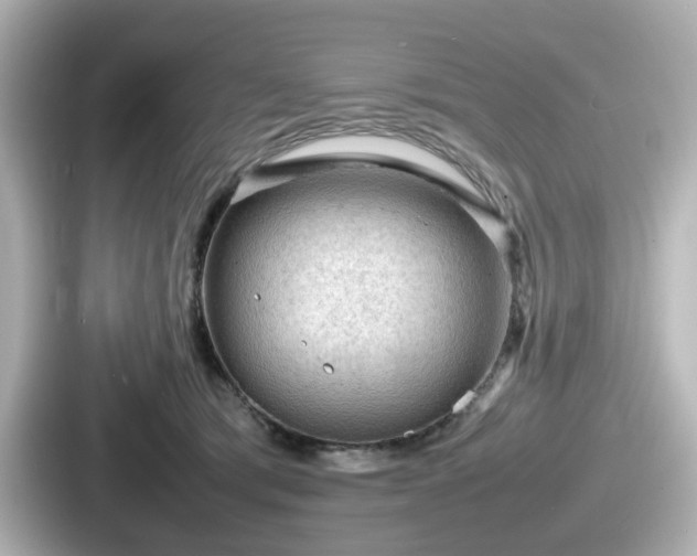 X0000087640417200705101051