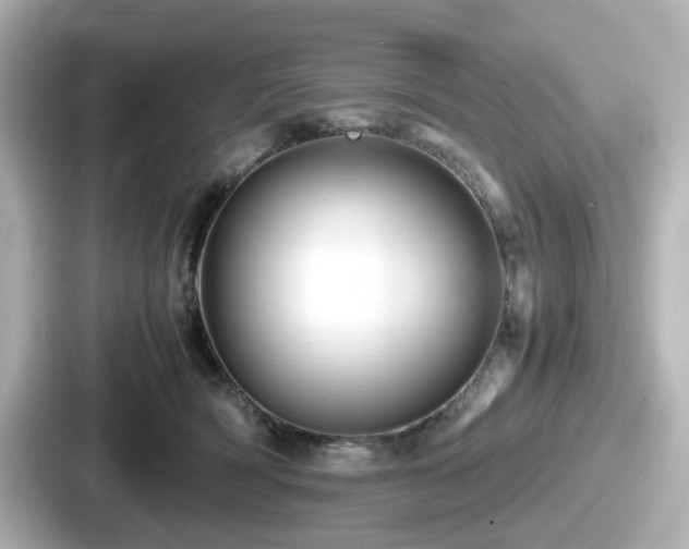 X0000087640418200705101051