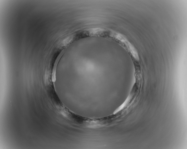 X0000087640419200705101051