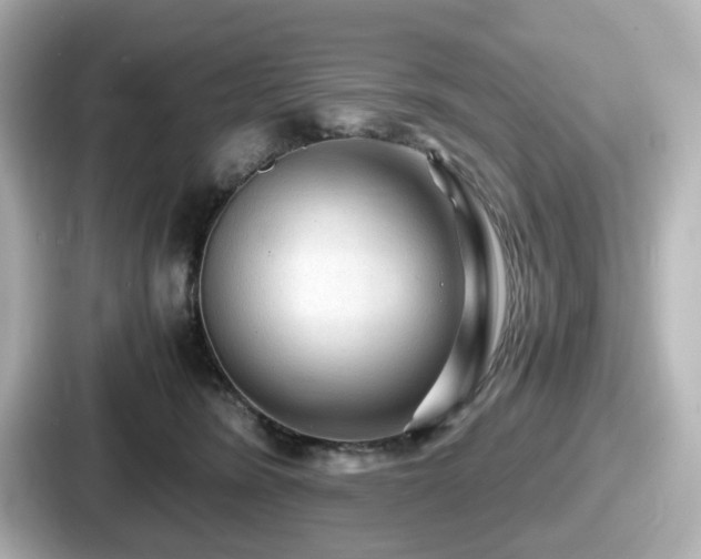 X0000087640420200705101051