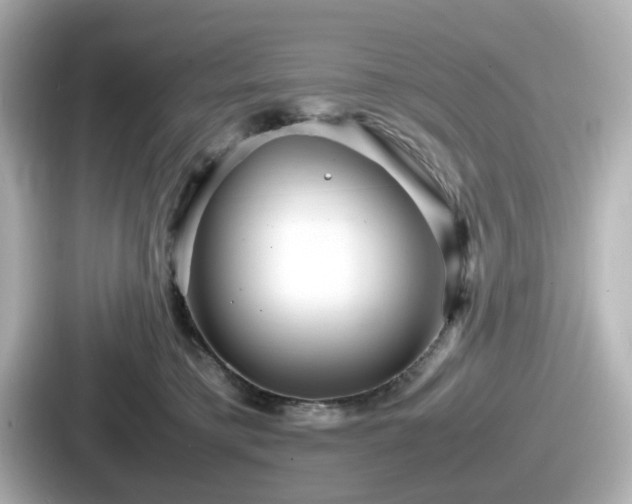 X0000087640421200705101051