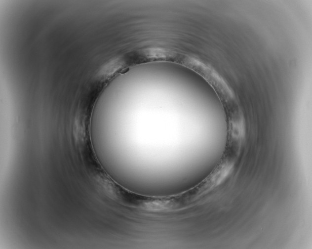 X0000087640422200705101051