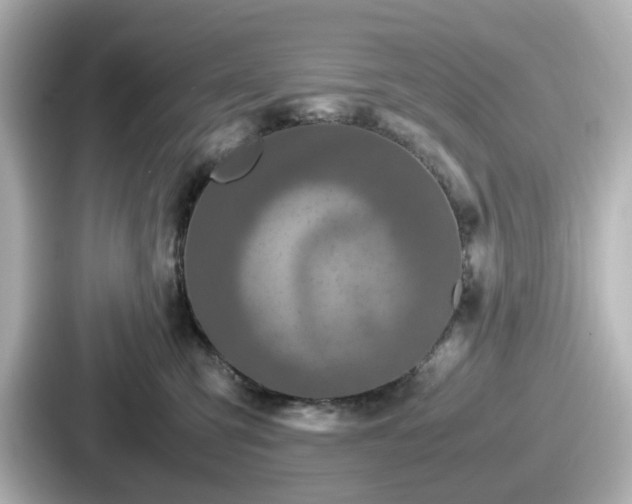 X0000087640423200705101051