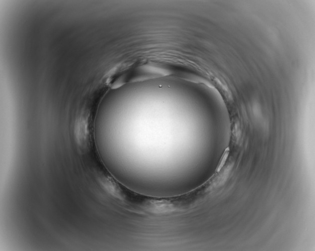 X0000087640424200705101051