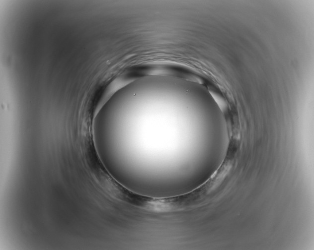 X0000087640425200705101051