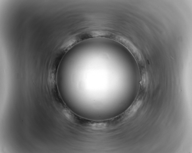 X0000087640426200705101051