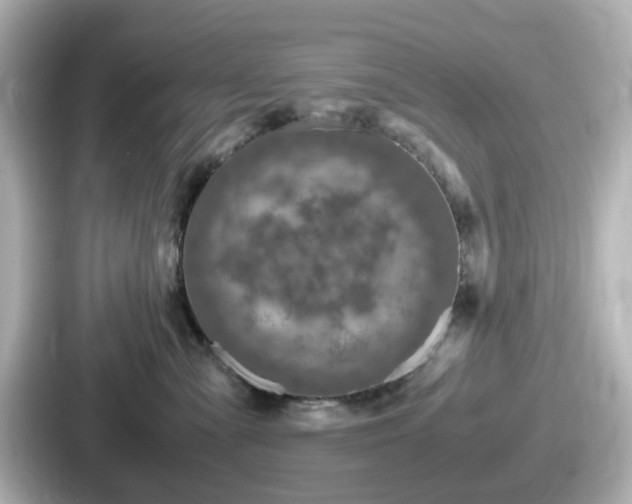 X0000087640427200705101051