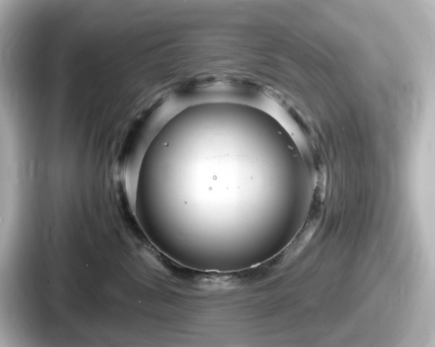 X0000087640428200705101051