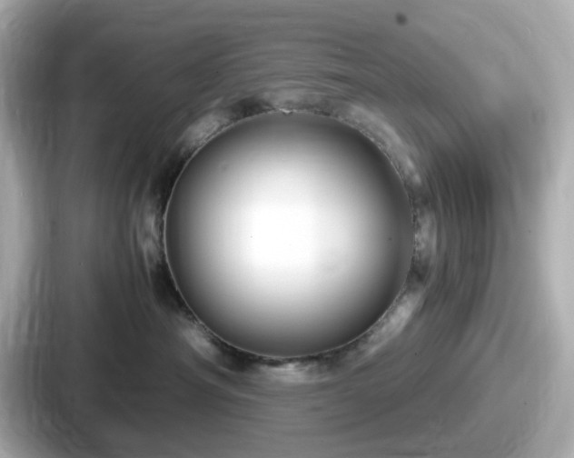 X0000087640430200705101051