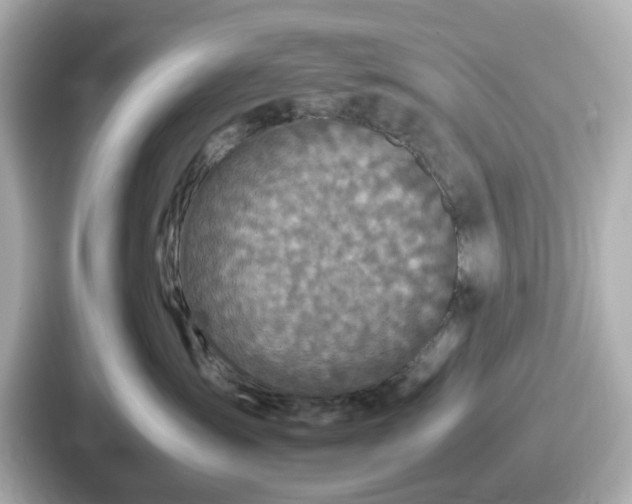 X0000087640431200705101051