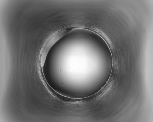 X0000087640433200705101050