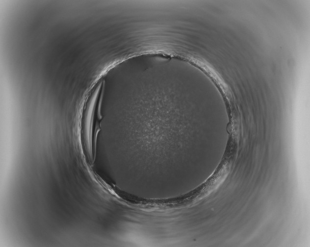 X0000087640434200705101050