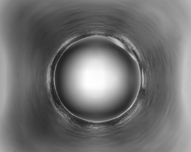 X0000087640435200705101050