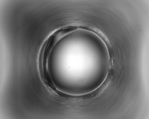 X0000087640436200705101051