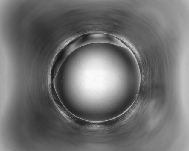 X0000087640437200705101051