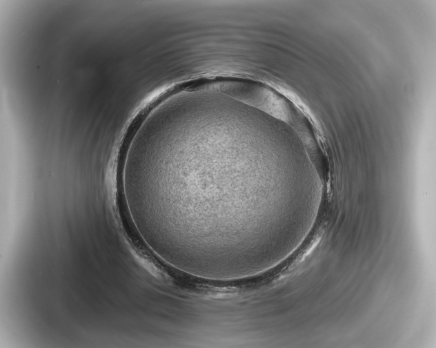 X0000087640438200705101051