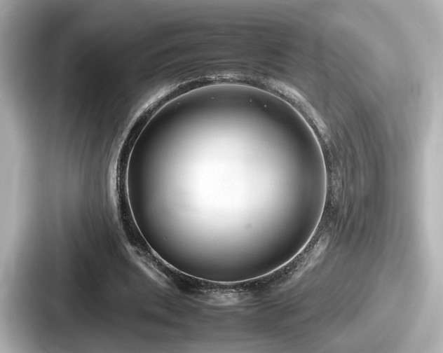 X0000087640439200705101051