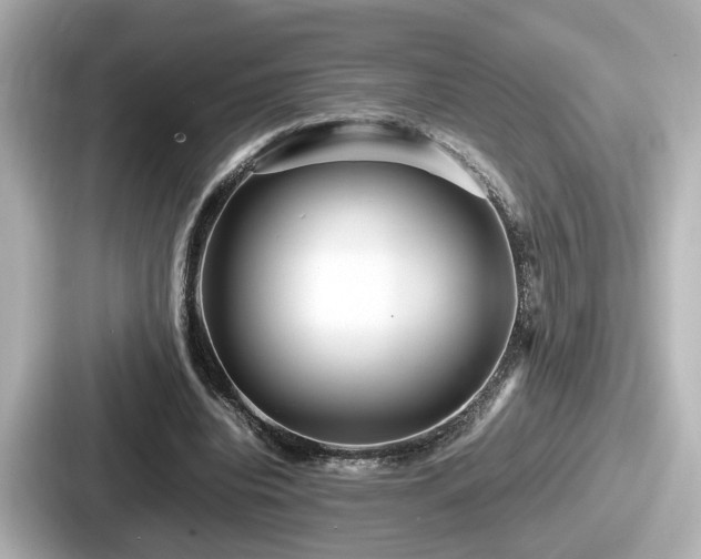 X0000087640440200705101051