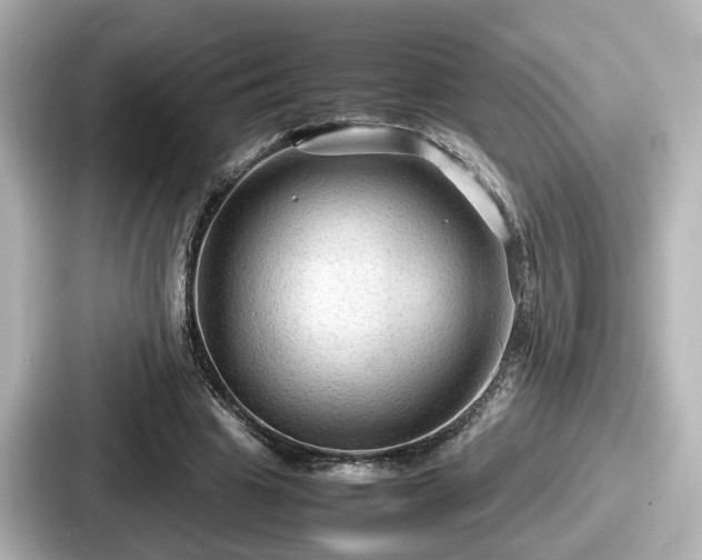 X0000087640441200705101051