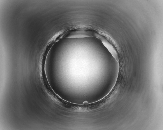 X0000087640442200705101051