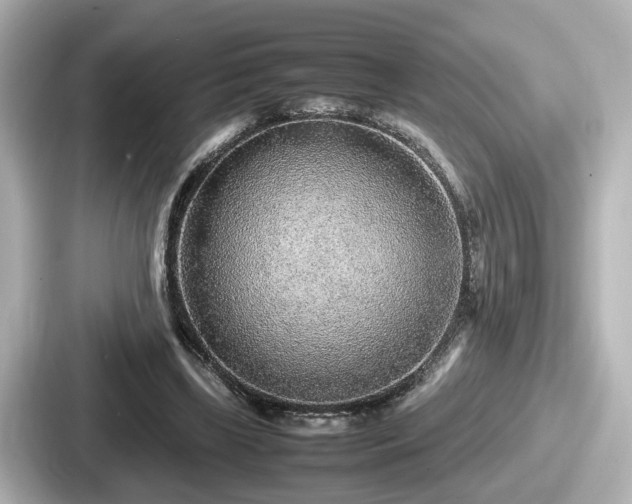 X0000087640443200705101051