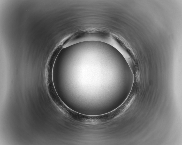 X0000087640444200705101051