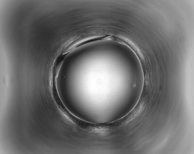 X0000087640445200705101051