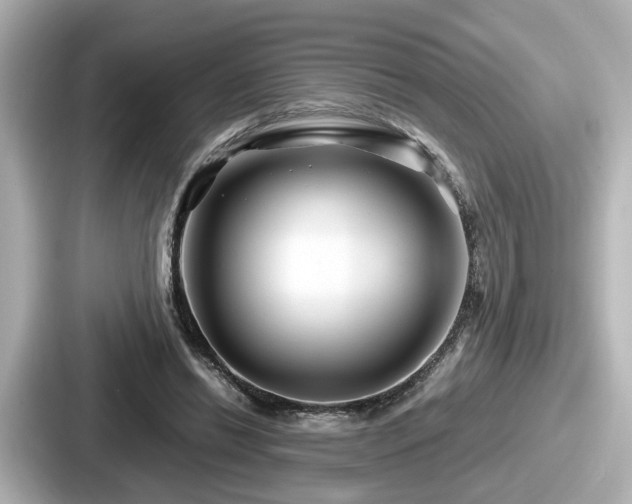 X0000087640446200705101051