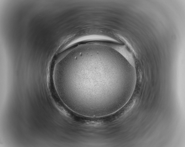 X0000087640447200705101051