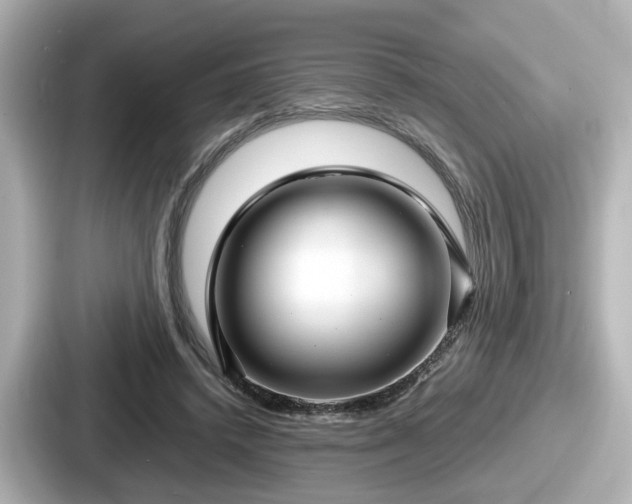 X0000087640448200705101051