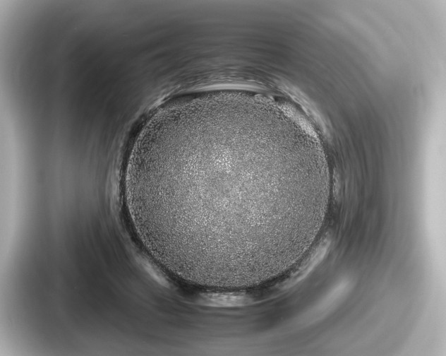 X0000087640449200705101051