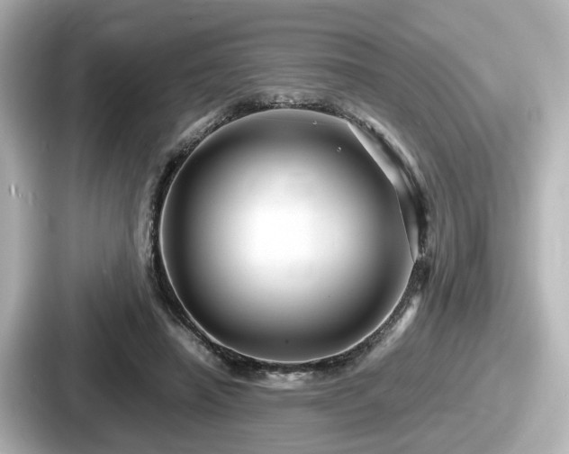 X0000087640450200705101051