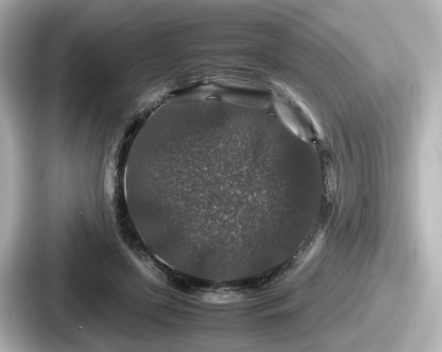 X0000087640451200705101051