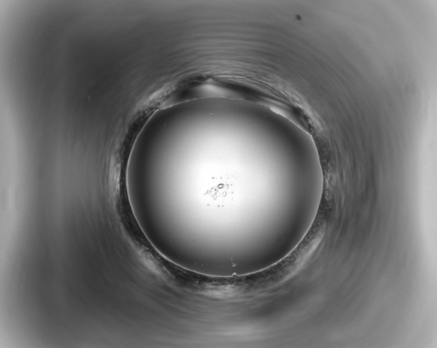 X0000087640454200705101051