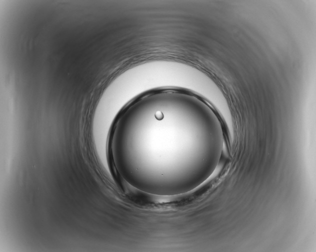 X0000087640456200705101051