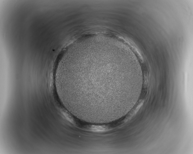 X0000087640457200705101051