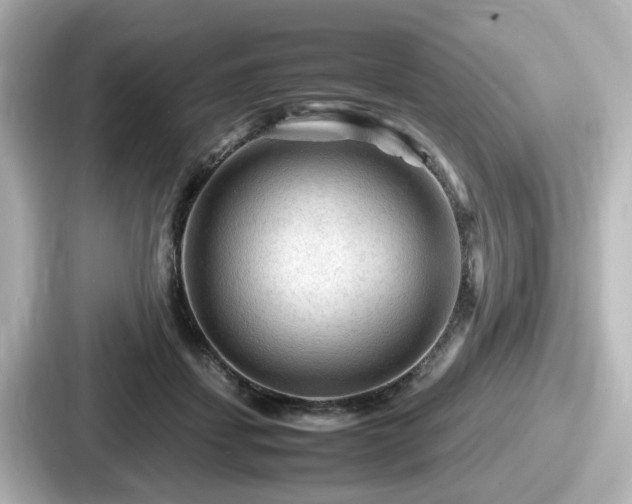 X0000087640459200705101051