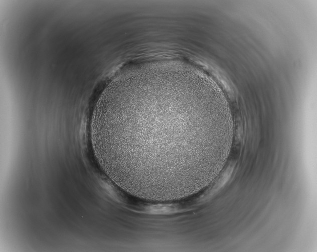 X0000087640461200705101051